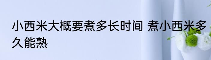 小西米大概要煮多长时间 煮小西米多久能熟