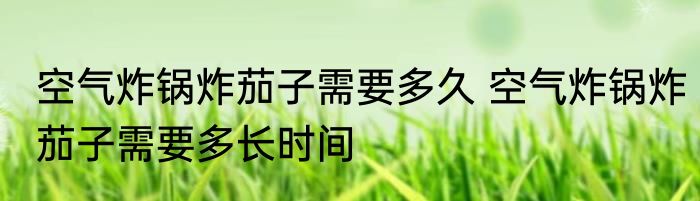 空气炸锅炸茄子需要多久 空气炸锅炸茄子需要多长时间