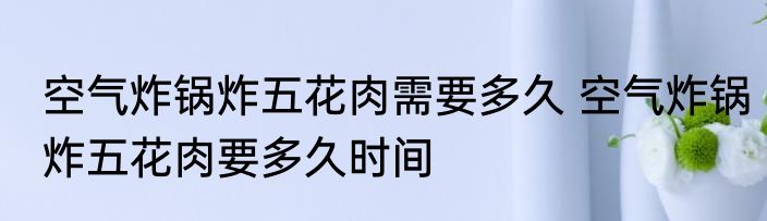 空气炸锅炸五花肉需要多久 空气炸锅炸五花肉要多久时间