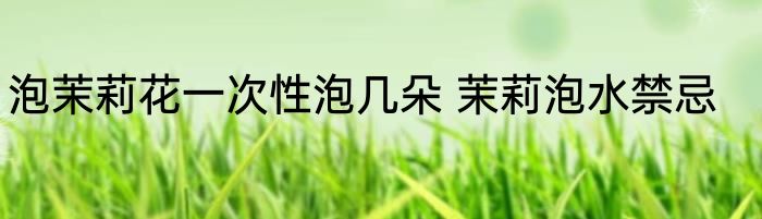 泡茉莉花一次性泡几朵 茉莉泡水禁忌