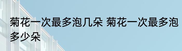 菊花一次最多泡几朵 菊花一次最多泡多少朵