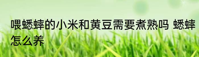 喂蟋蟀的小米和黄豆需要煮熟吗 蟋蟀怎么养
