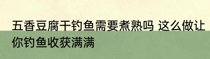 五香豆腐干钓鱼需要煮熟吗 这么做让你钓鱼收获满满