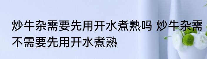 炒牛杂需要先用开水煮熟吗 炒牛杂需不需要先用开水煮熟