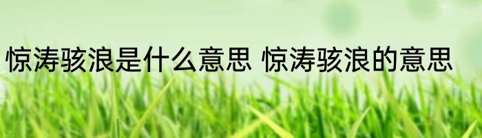 惊涛骇浪是什么意思 惊涛骇浪的意思