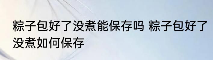 粽子包好了没煮能保存吗 粽子包好了没煮如何保存