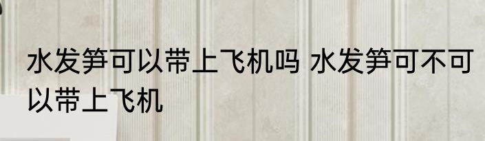水发笋可以带上飞机吗 水发笋可不可以带上飞机