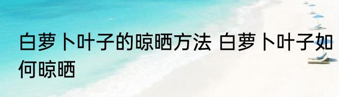 白萝卜叶子的晾晒方法 白萝卜叶子如何晾晒