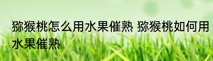 猕猴桃怎么用水果催熟 猕猴桃如何用水果催熟