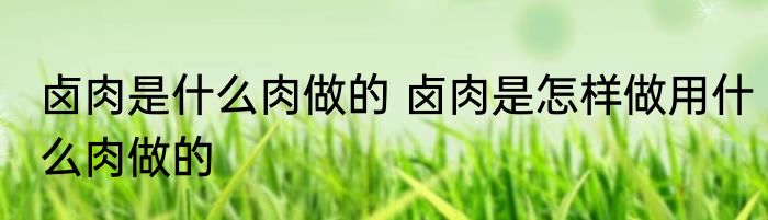 卤肉是什么肉做的 卤肉是怎样做用什么肉做的