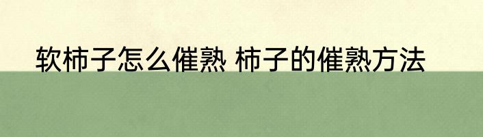 软柿子怎么催熟 柿子的催熟方法