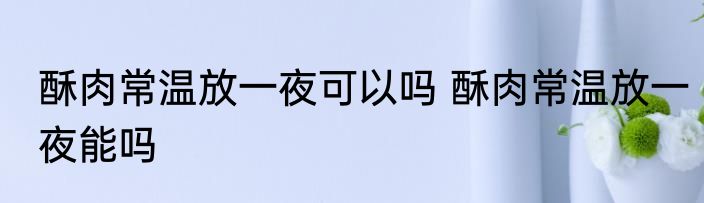 酥肉常温放一夜可以吗 酥肉常温放一夜能吗