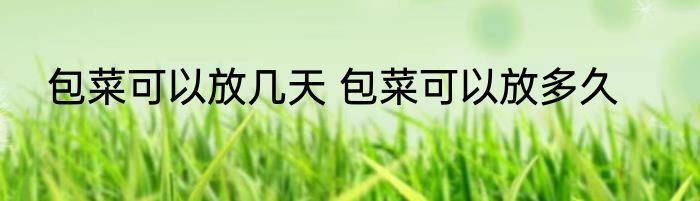 包菜可以放几天 包菜可以放多久
