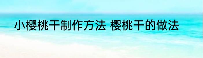 小樱桃干制作方法 樱桃干的做法