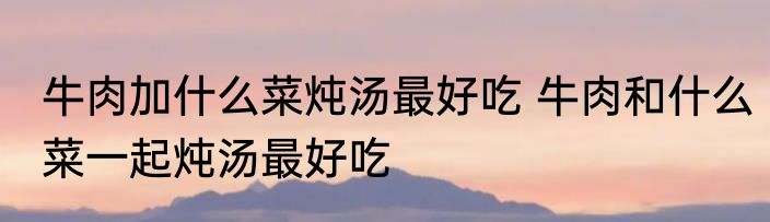 牛肉加什么菜炖汤最好吃 牛肉和什么菜一起炖汤最好吃