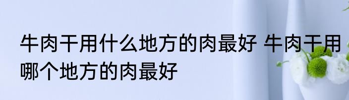 牛肉干用什么地方的肉最好 牛肉干用哪个地方的肉最好