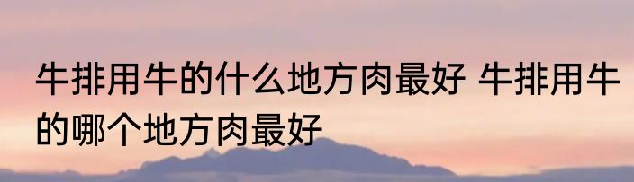 牛排用牛的什么地方肉最好 牛排用牛的哪个地方肉最好