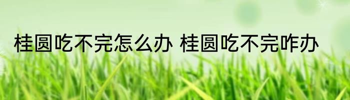 桂圆吃不完怎么办 桂圆吃不完咋办