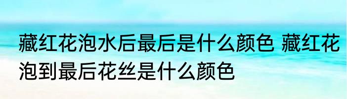 藏红花泡水后最后是什么颜色 藏红花泡到最后花丝是什么颜色