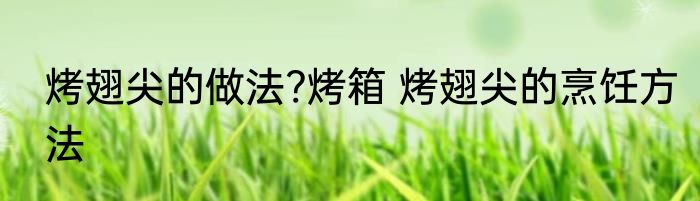 烤翅尖的做法?烤箱 烤翅尖的烹饪方法