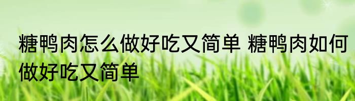 糖鸭肉怎么做好吃又简单 糖鸭肉如何做好吃又简单