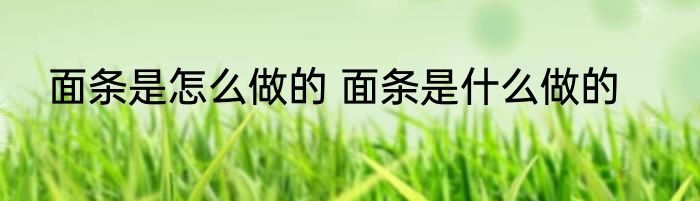 面条是怎么做的 面条是什么做的