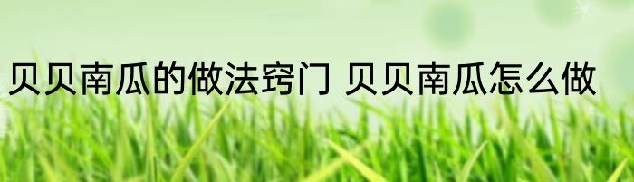 贝贝南瓜的做法窍门 贝贝南瓜怎么做