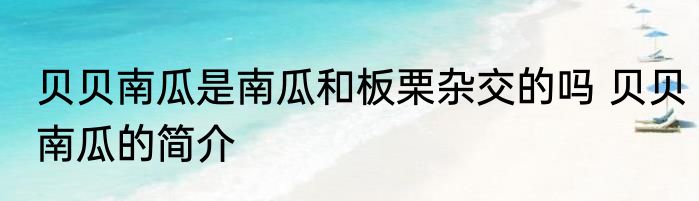 贝贝南瓜是南瓜和板栗杂交的吗 贝贝南瓜的简介