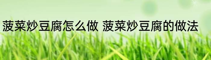 菠菜炒豆腐怎么做 菠菜炒豆腐的做法