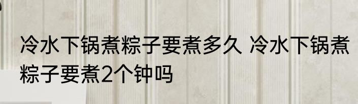 冷水下锅煮粽子要煮多久 冷水下锅煮粽子要煮2个钟吗