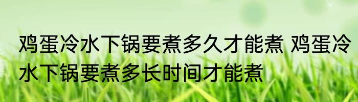 鸡蛋冷水下锅要煮多久才能煮 鸡蛋冷水下锅要煮多长时间才能煮