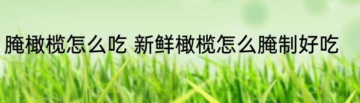 腌橄榄怎么吃 新鲜橄榄怎么腌制好吃