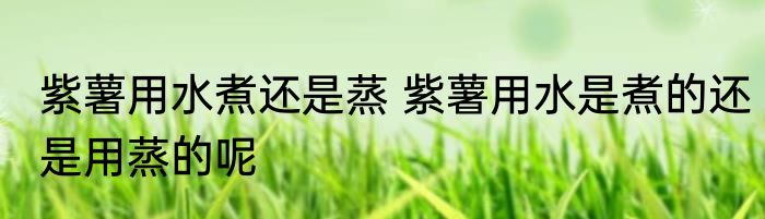 紫薯用水煮还是蒸 紫薯用水是煮的还是用蒸的呢