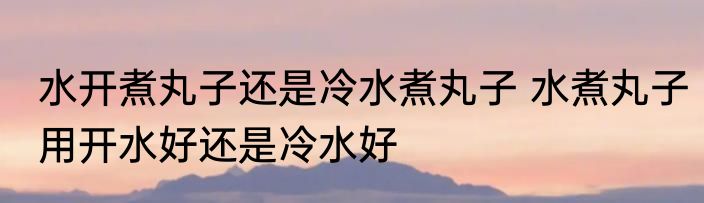 水开煮丸子还是冷水煮丸子 水煮丸子用开水好还是冷水好