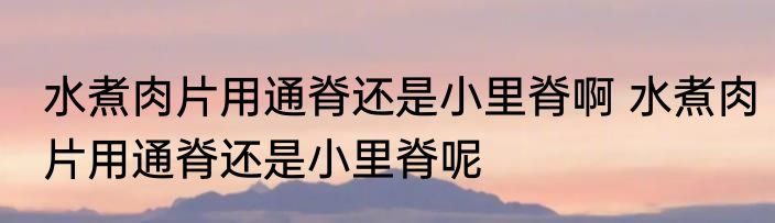 水煮肉片用通脊还是小里脊啊 水煮肉片用通脊还是小里脊呢