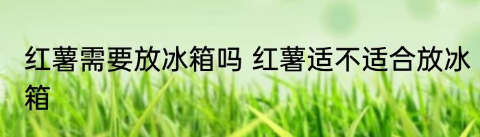 红薯需要放冰箱吗 红薯适不适合放冰箱