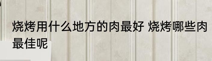 烧烤用什么地方的肉最好 烧烤哪些肉最佳呢