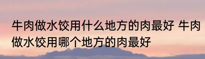 牛肉做水饺用什么地方的肉最好 牛肉做水饺用哪个地方的肉最好