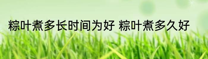 粽叶煮多长时间为好 粽叶煮多久好