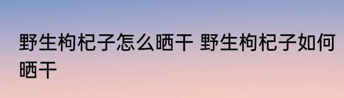 野生枸杞子怎么晒干 野生枸杞子如何晒干
