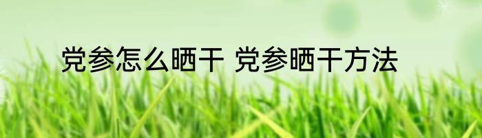 党参怎么晒干 党参晒干方法