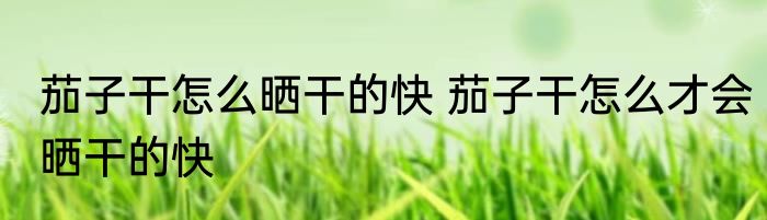 茄子干怎么晒干的快 茄子干怎么才会晒干的快