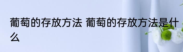 葡萄的存放方法 葡萄的存放方法是什么