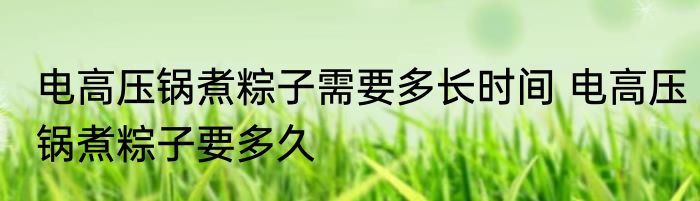 电高压锅煮粽子需要多长时间 电高压锅煮粽子要多久