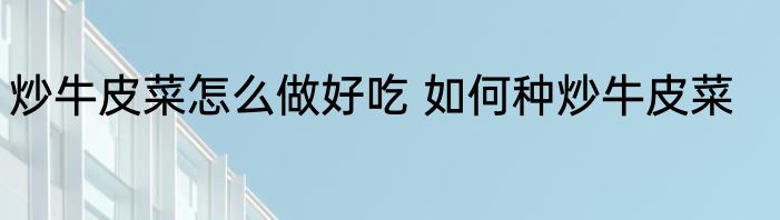 炒牛皮菜怎么做好吃 如何种炒牛皮菜
