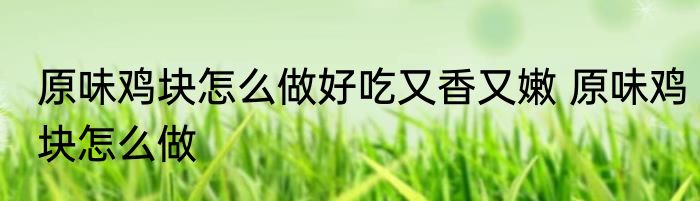 原味鸡块怎么做好吃又香又嫩 原味鸡块怎么做