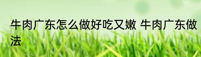 牛肉广东怎么做好吃又嫩 牛肉广东做法