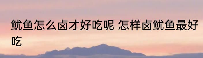 鱿鱼怎么卤才好吃呢 怎样卤鱿鱼最好吃