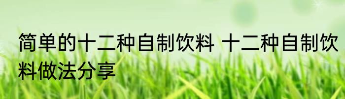 简单的十二种自制饮料 十二种自制饮料做法分享