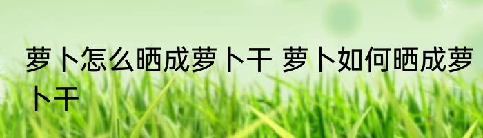 萝卜怎么晒成萝卜干 萝卜如何晒成萝卜干